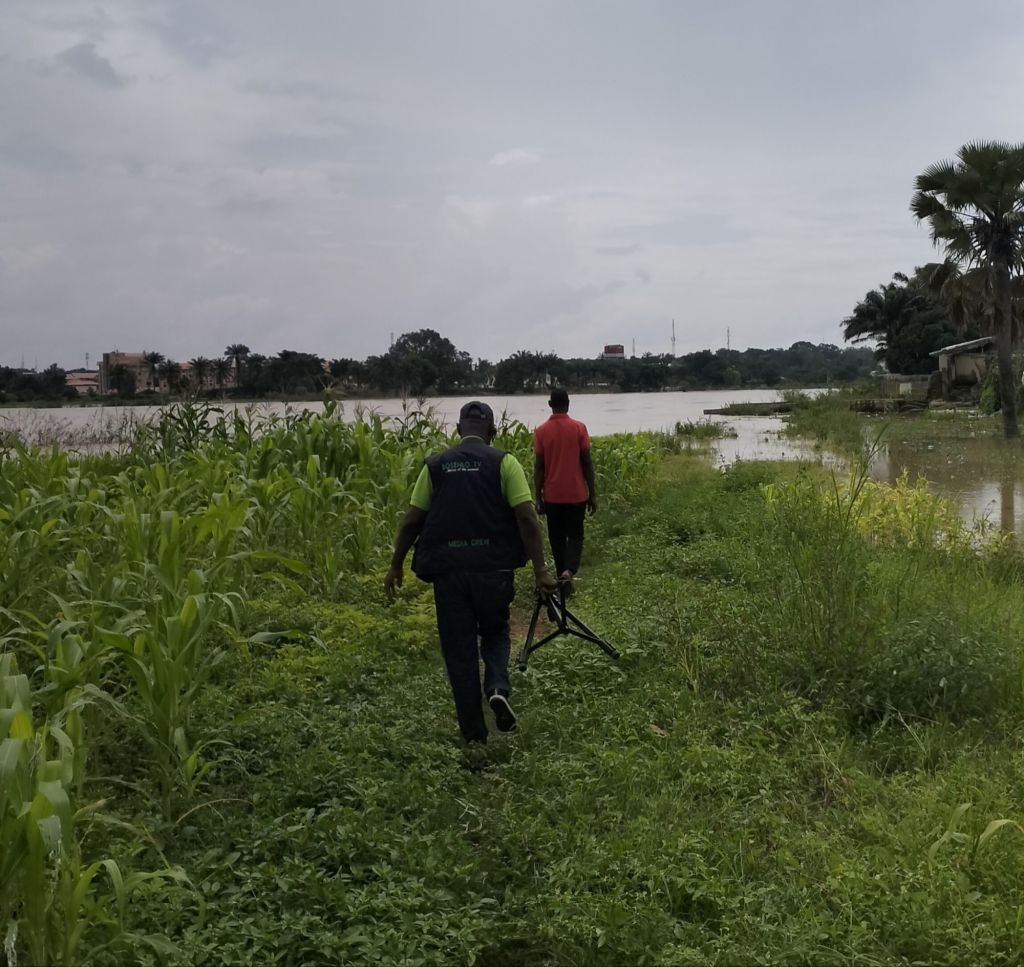 NURTURING A GREENER FUTURE: UNLOCKING THE POTENTIAL OF ORGANIC FERTILIZERS FOR SUSTAINABLE DEVELOPMENT
