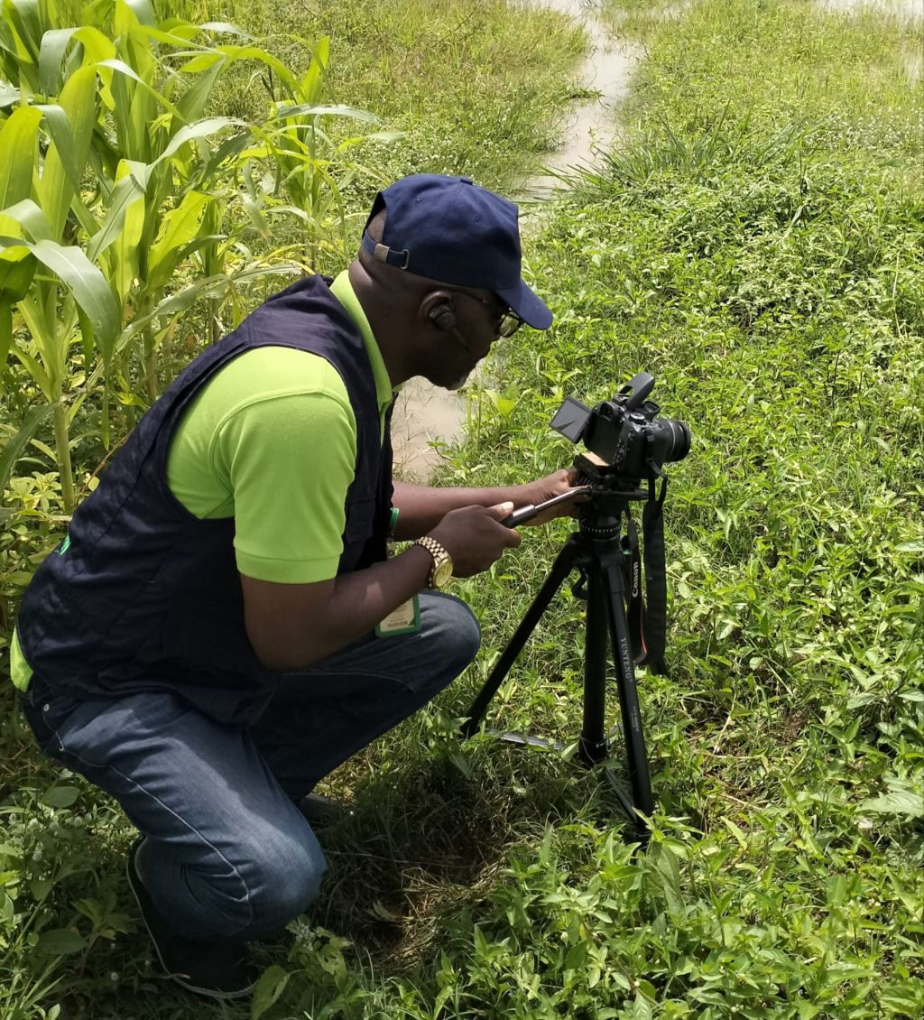 DEFORESTATION CRISIS SAVING THE PLANET’S LUNGS
