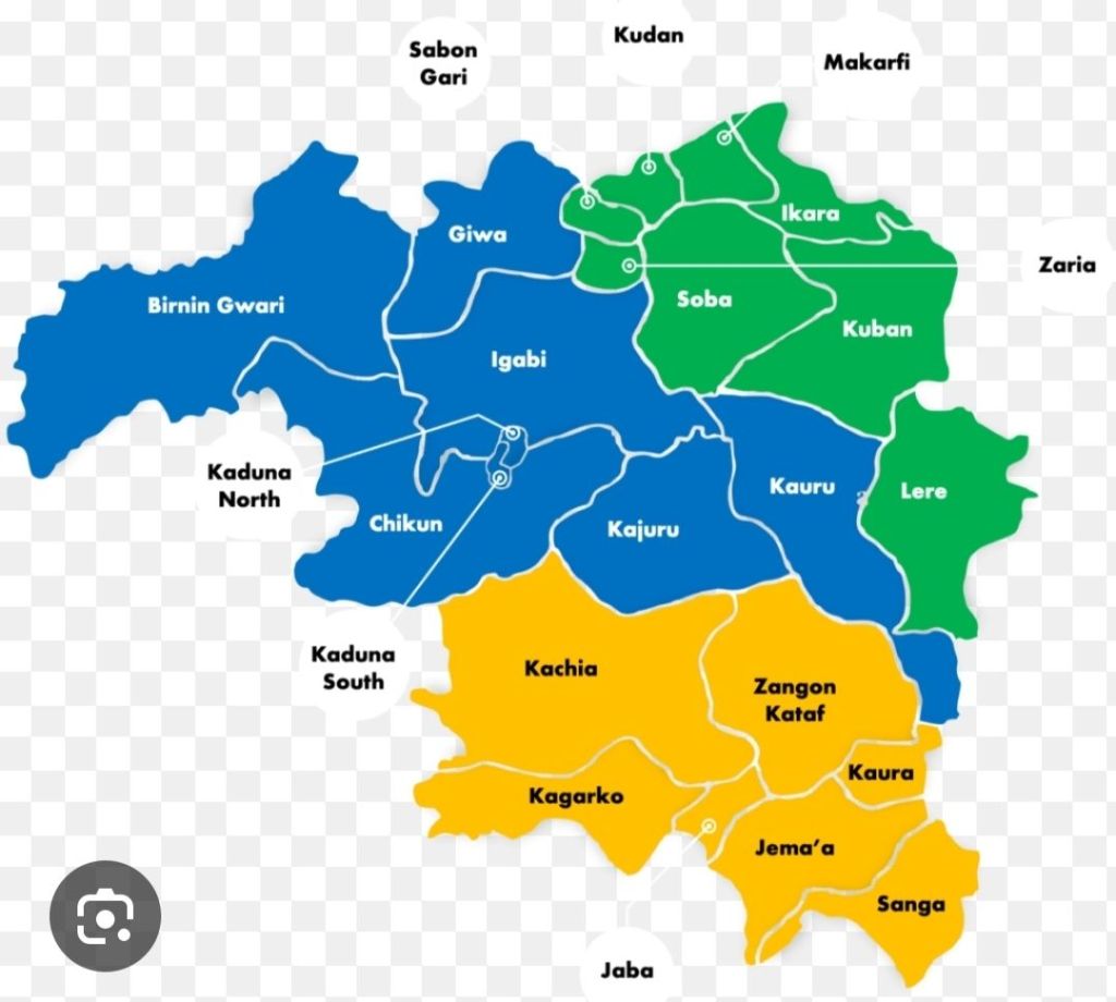 Deforestation Menace in Kaduna: A Threat to the State’s Biodiversity and Economy