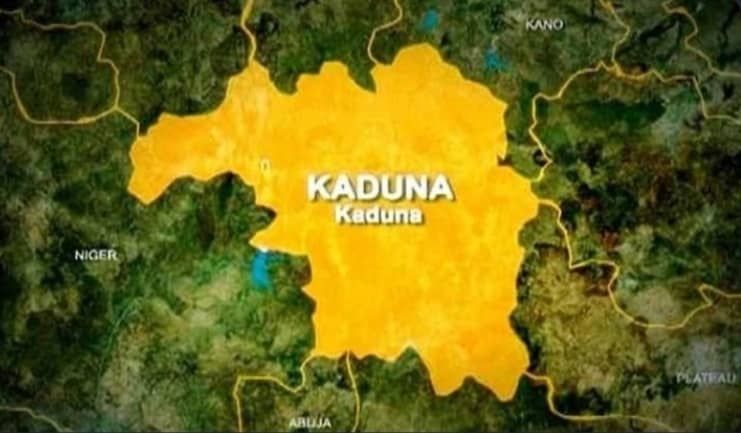 Bird Flu Outbreak Hits Kaduna’s Poultry Industry Hard