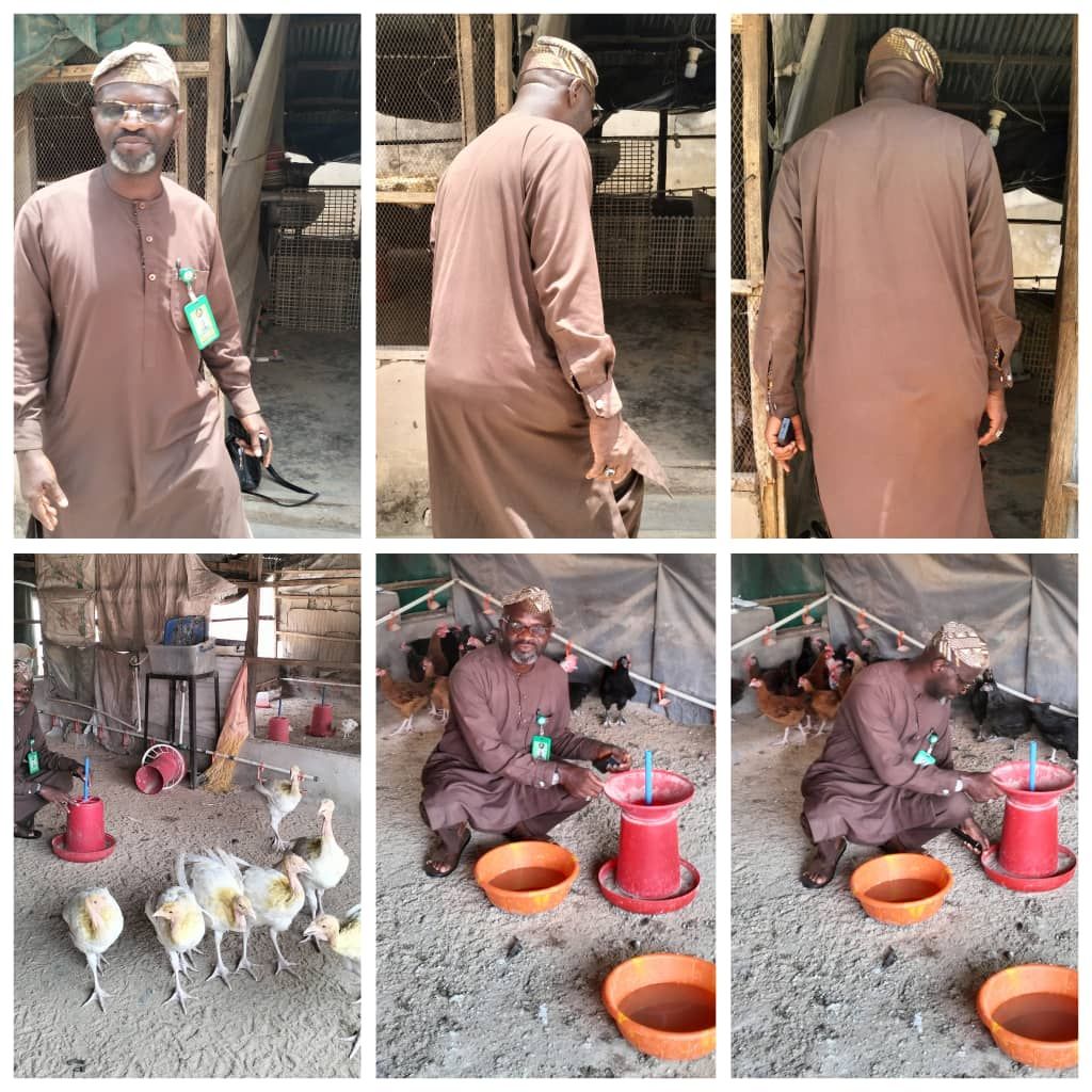 Fowl Play: Unlocking the Power of Poultry for a Healthier, Greener, and More Prosperous World