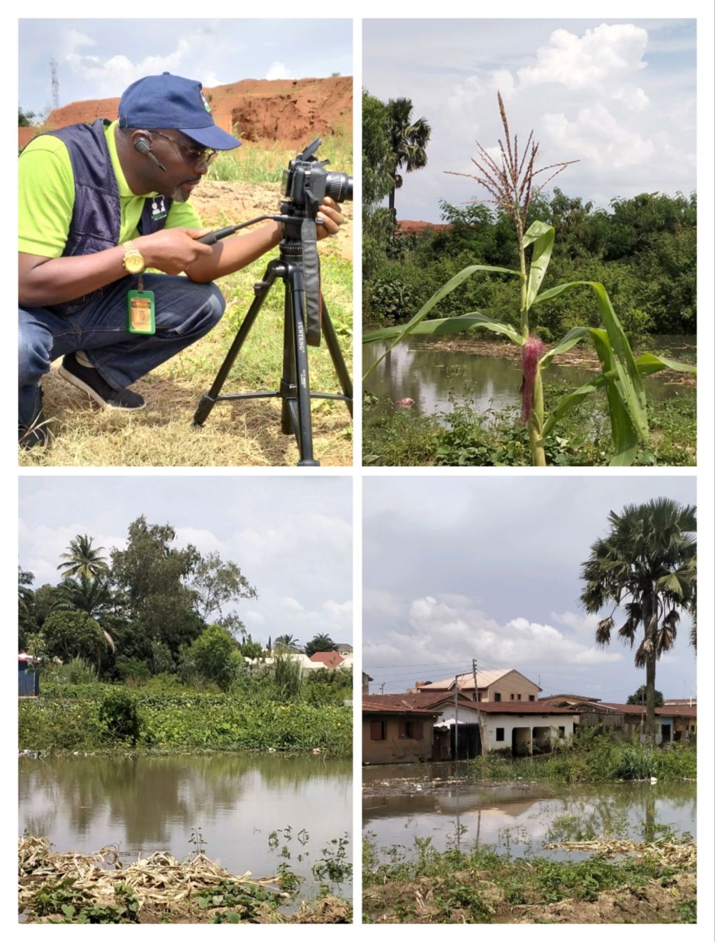 Stagnant Waters: A Hidden Catalyst for Climate Change&nbsp;🌊